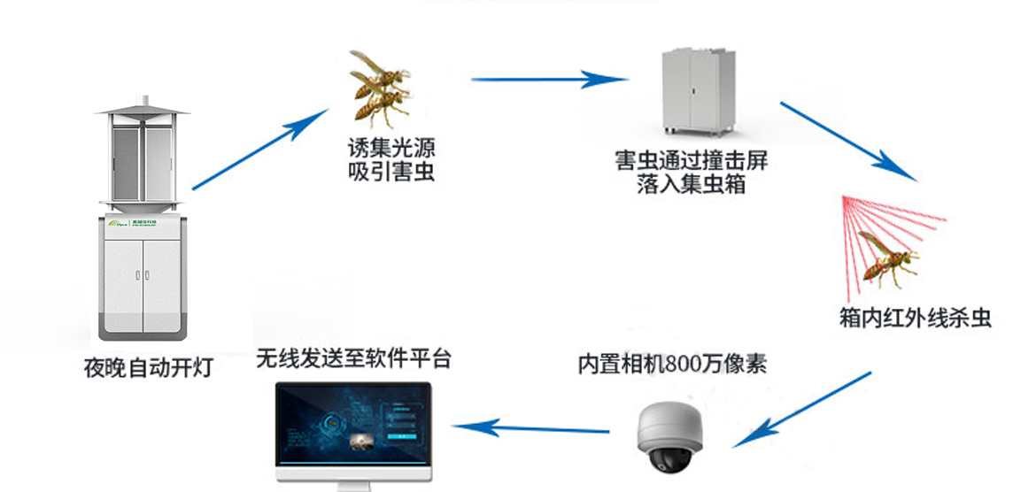 物聯(lián)網(wǎng)蟲情測報(bào)系統(tǒng)