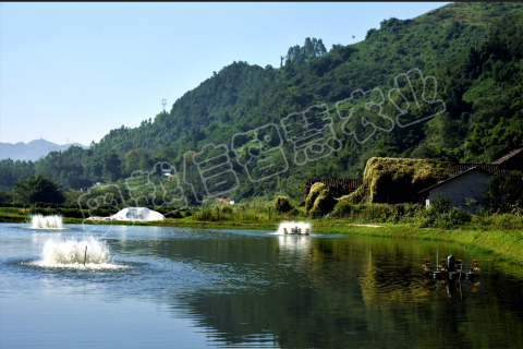 重慶水產養(yǎng)殖基地升級智能養(yǎng)殖基地